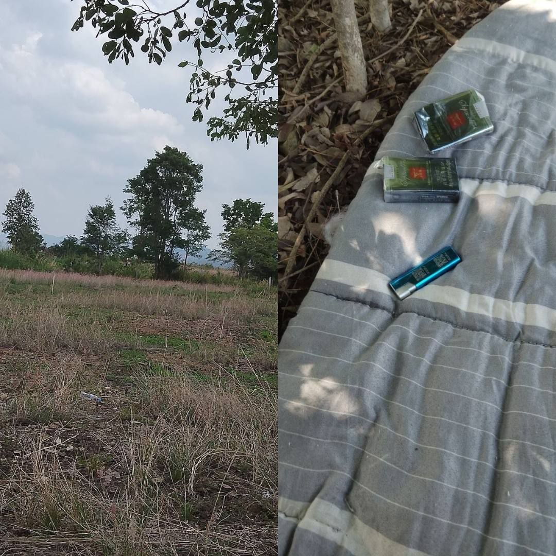 我是从波哥山下来的小推推,自从波哥山解散之后,我就像一条没人管的流浪狗一样,到处漂泊。